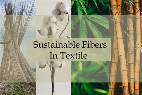  Jute: Miracle Fiber for Sustainable Packaging and Textile Innovations!