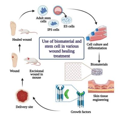 Keratin: A Biomaterial Powerhouse for Regenerative Medicine and Tissue Engineering Applications!